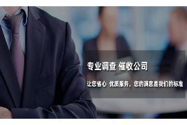 百色专业讨债公司有哪些核心服务？