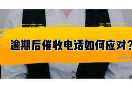 百色为什么选择专业追讨公司来处理您的债务纠纷？