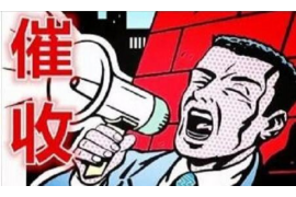 百色专业讨债公司，追讨消失的老赖